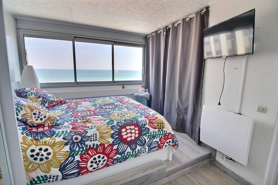Superbe T2 parking wifi climatisé face Mer et Piscine - 4 Etoiles Apartment in Canet-en-Roussillon