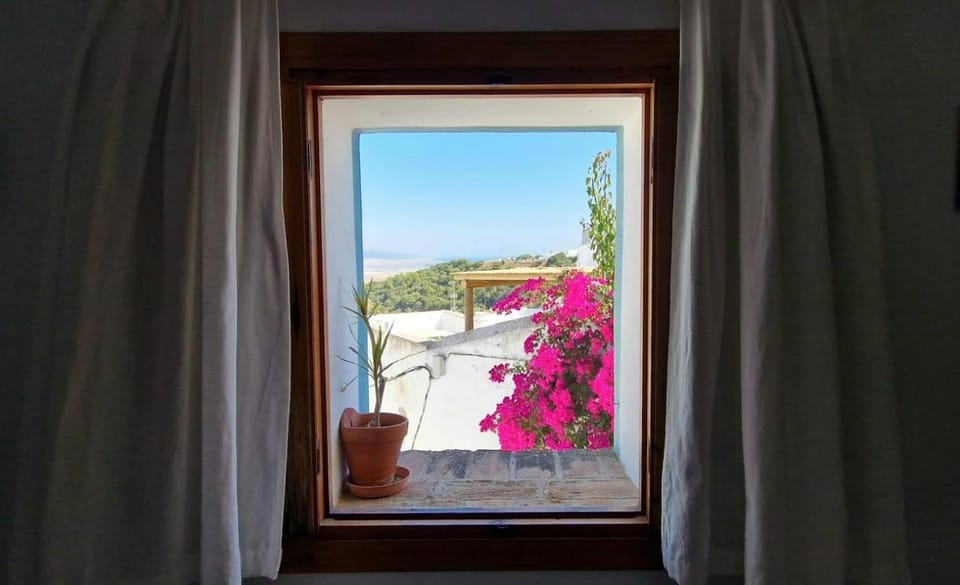 View (from property/room)