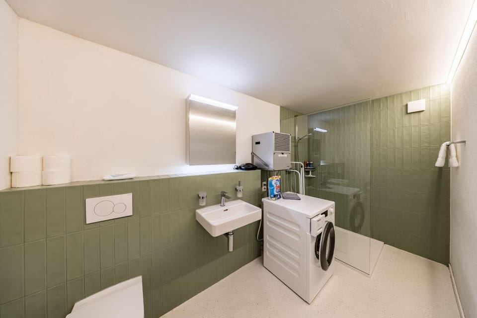 Shower, Bathroom, towels, washing machine, dryer