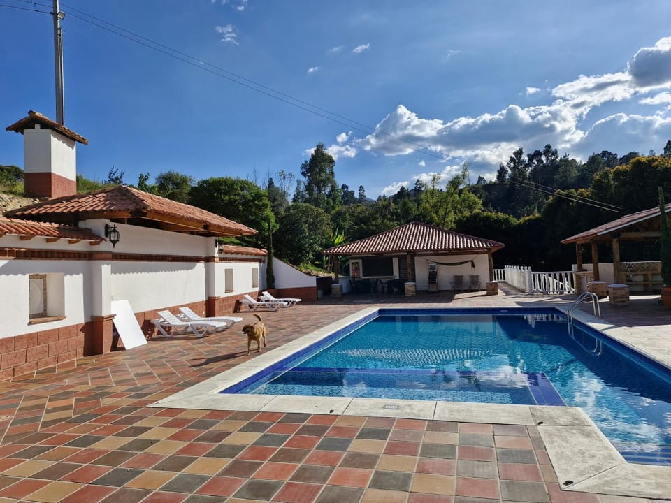 Pool view, Swimming pool, sunbed