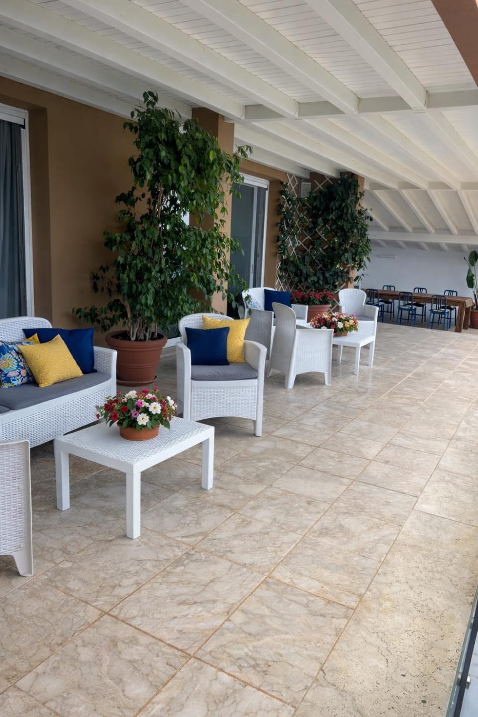 Patio, Spring, Summer