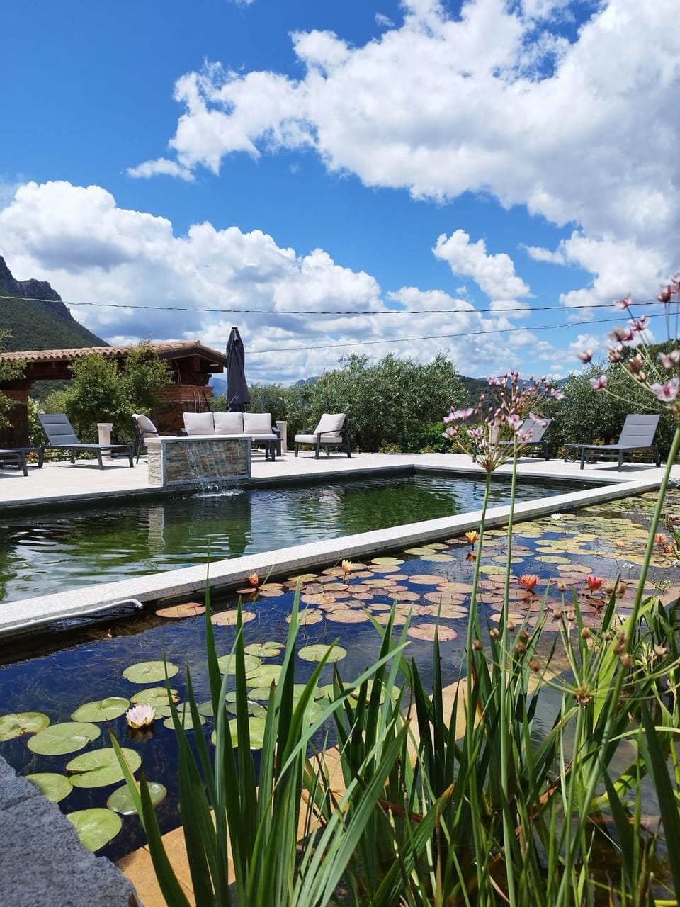 Day, Natural landscape, Mountain view, Swimming pool