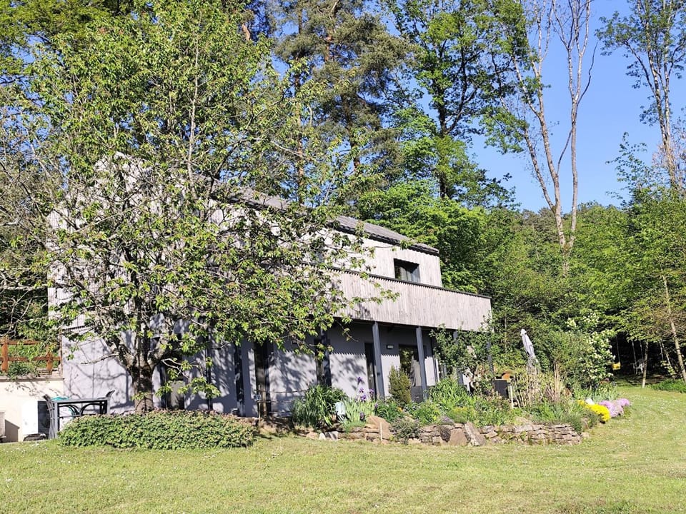 Gîte Le Charme d'Argent Chalet in Vosges
