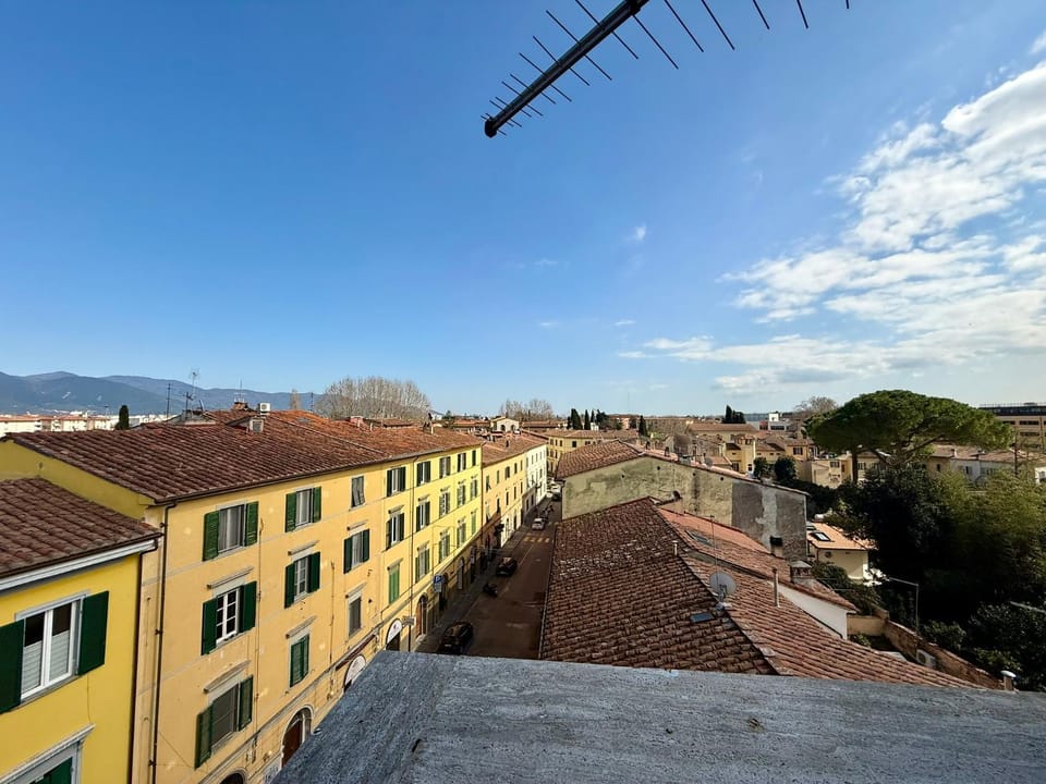 City view