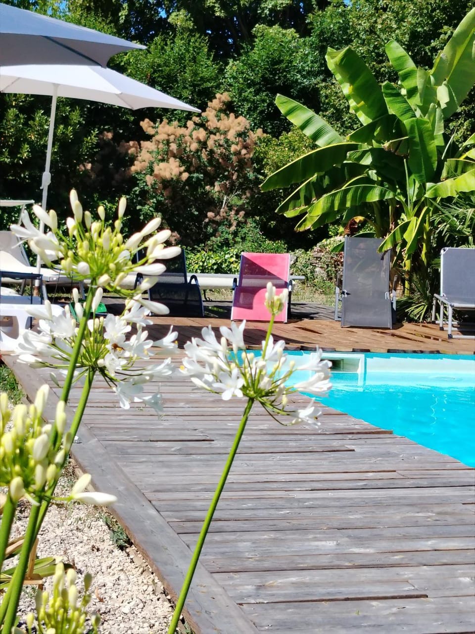 GRAND GÎTE GIRONDE 12 personnes House in Nouvelle-Aquitaine