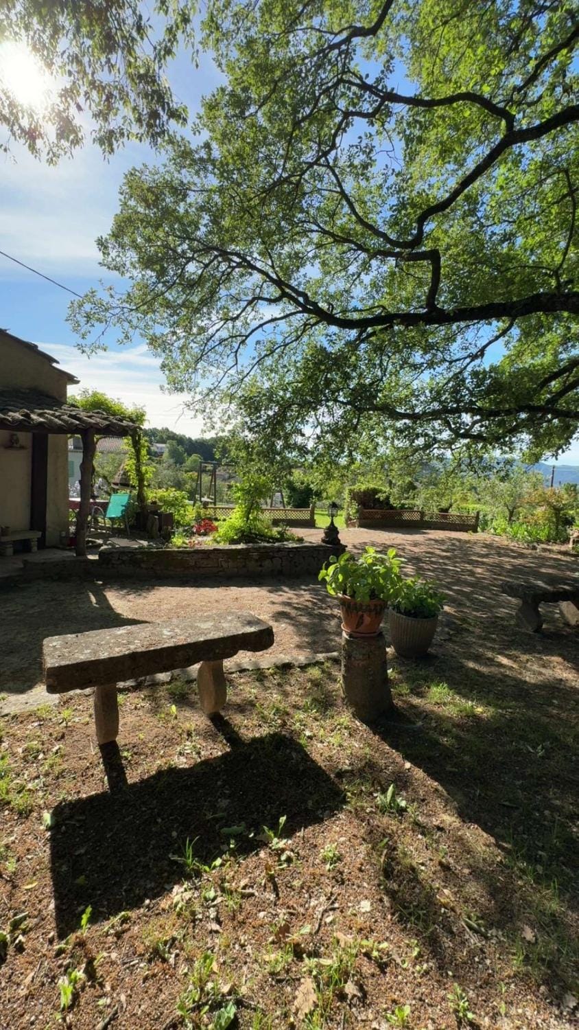 Day, Natural landscape, Garden, Garden view