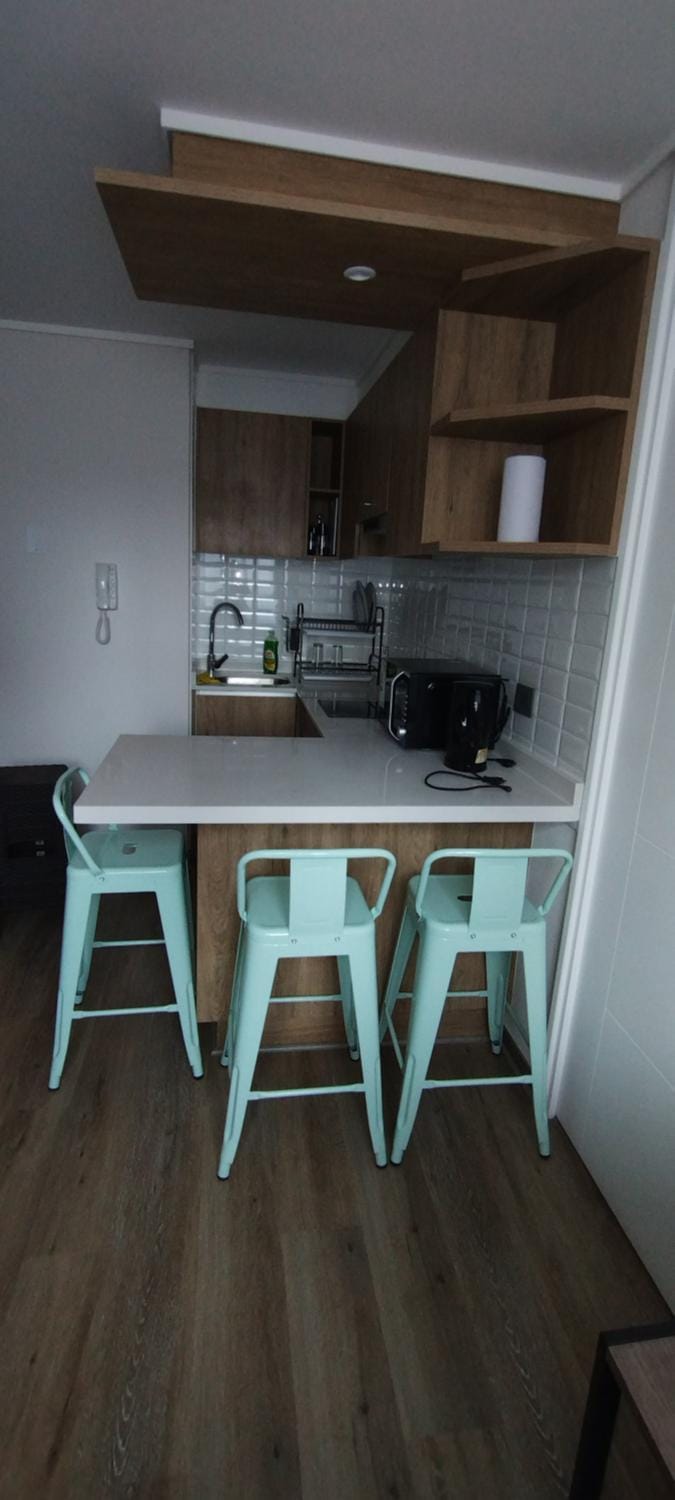 Hermoso y cómodo departamento Apartment in Santiago