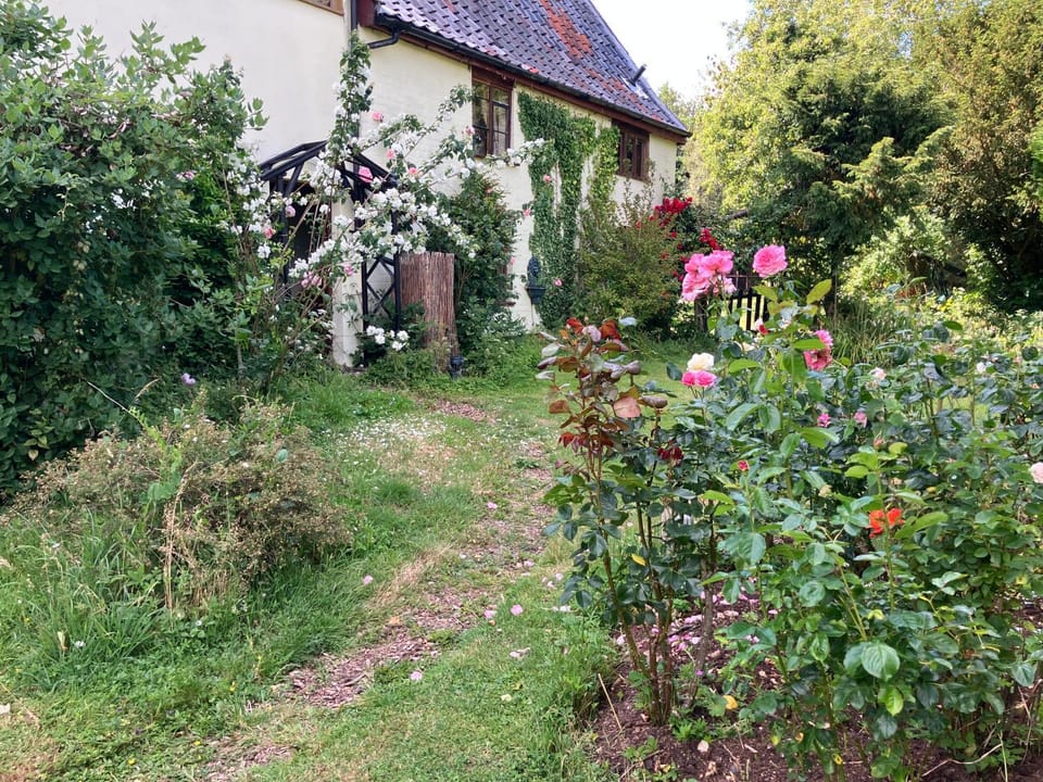 Valley Farmhouse, Westhall Bed and Breakfast in South Norfolk District