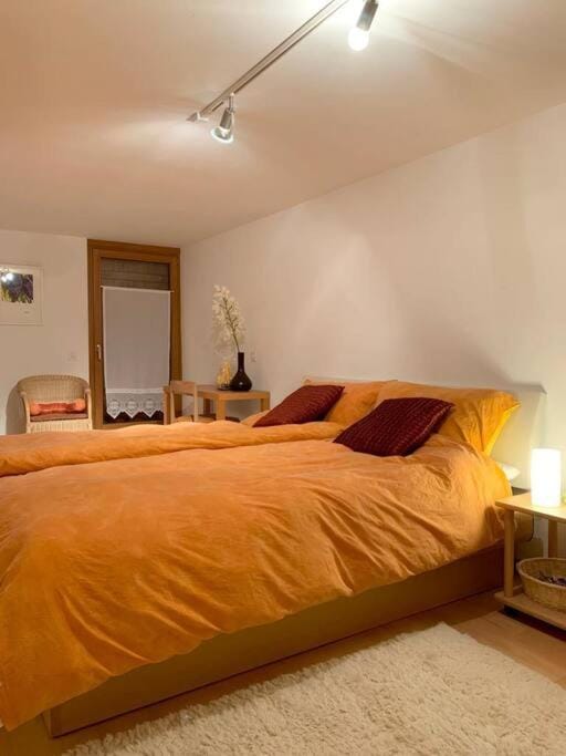 Rustico Valgrazia Chalet in Canton of Ticino