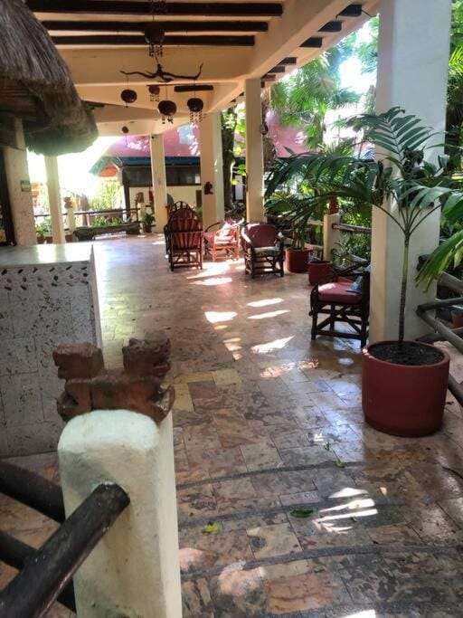Estudio Sacbe 5ta Av Apartment in Playa del Carmen