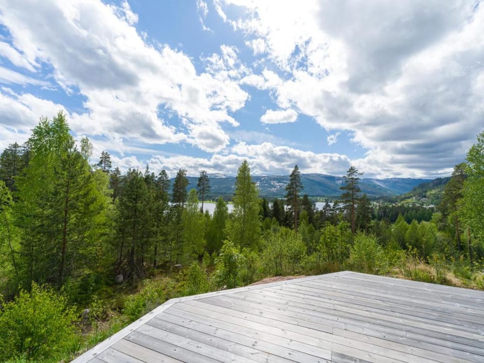 Furuheim Lodge, 4 seizoenen vakantiehuis met fantastisch uitzicht House in Viken, Norway