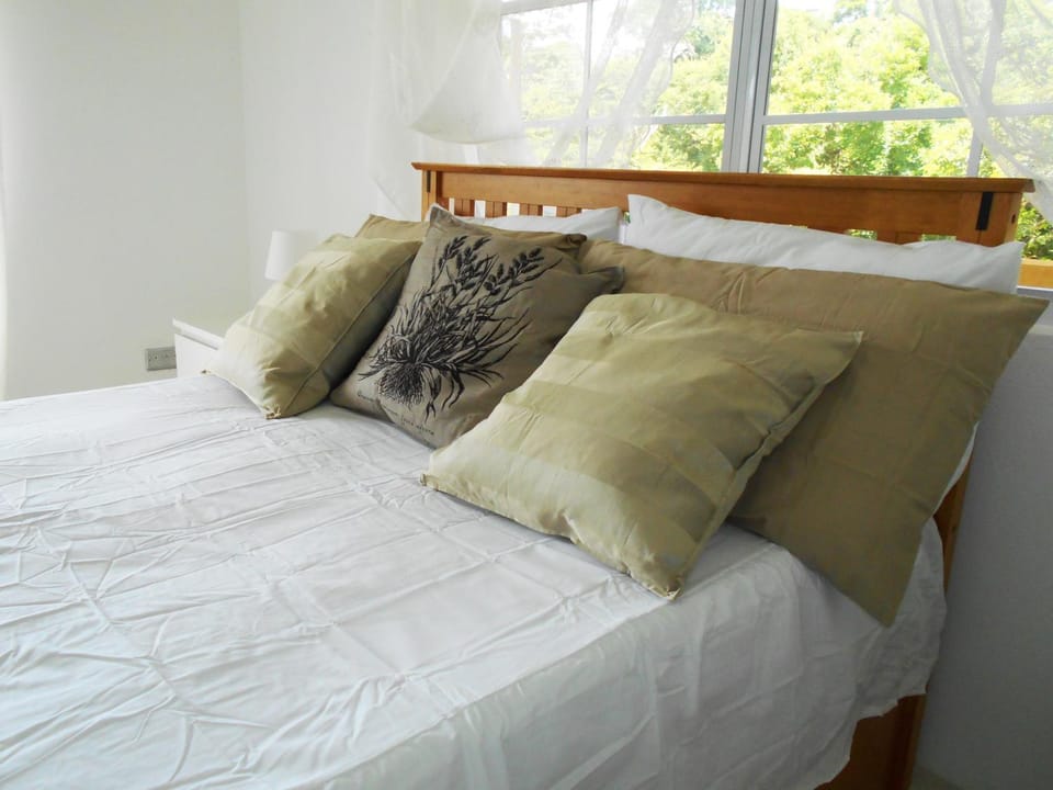 VJ's Guesthouse Mountain View Apartment in Saint George