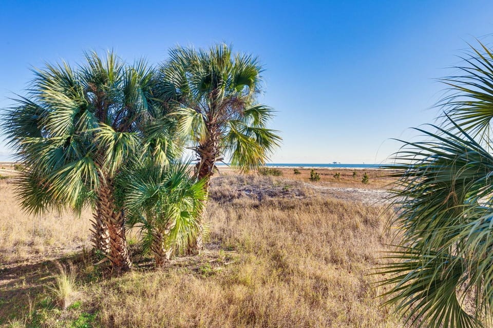 Dauphin Island Condo: Beach & Hot Tub Access! House in Dauphin Island