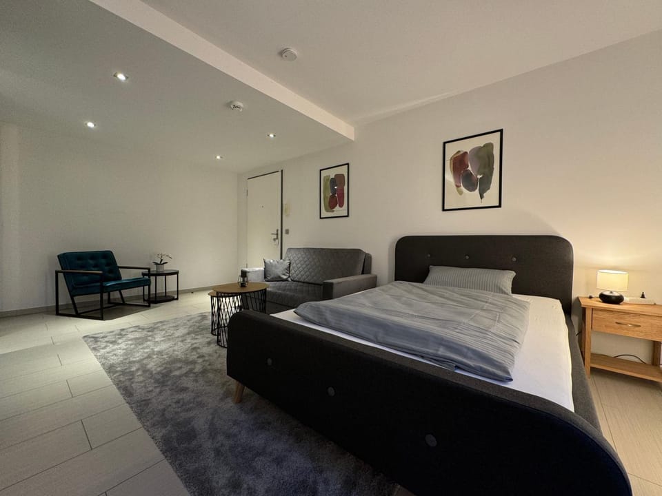 Bed, Living room, Photo of the whole room, Seating area, Bedroom