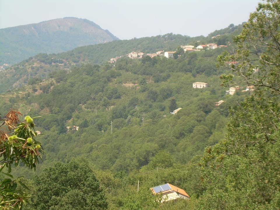 Landmark view