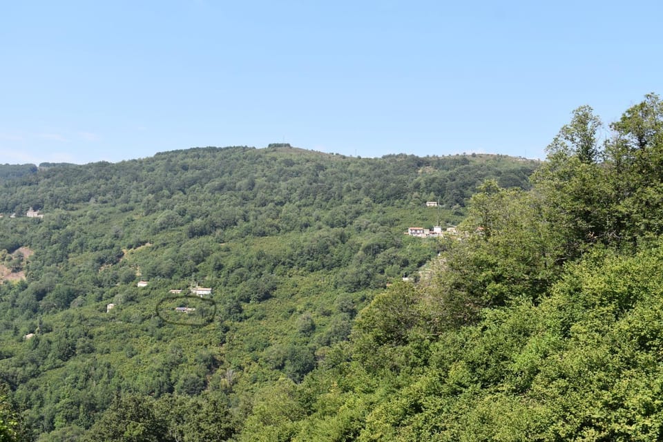 Landmark view