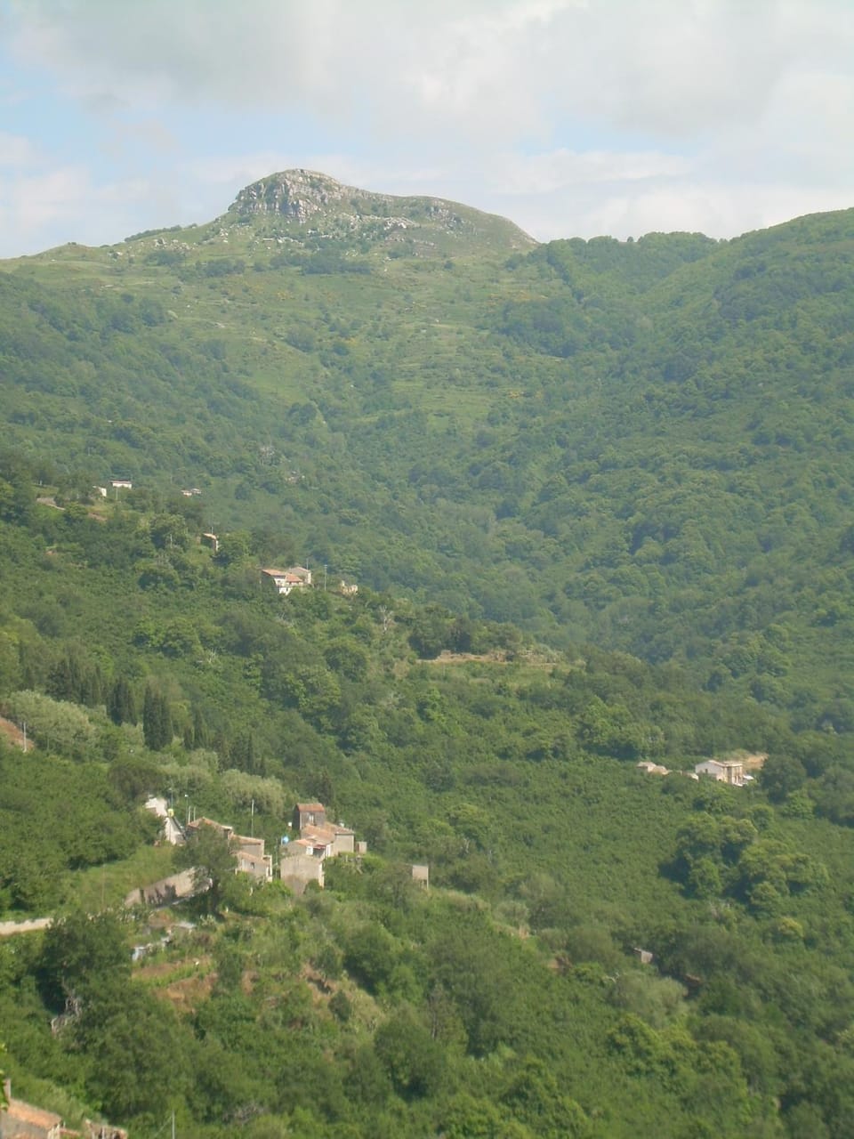 Landmark view