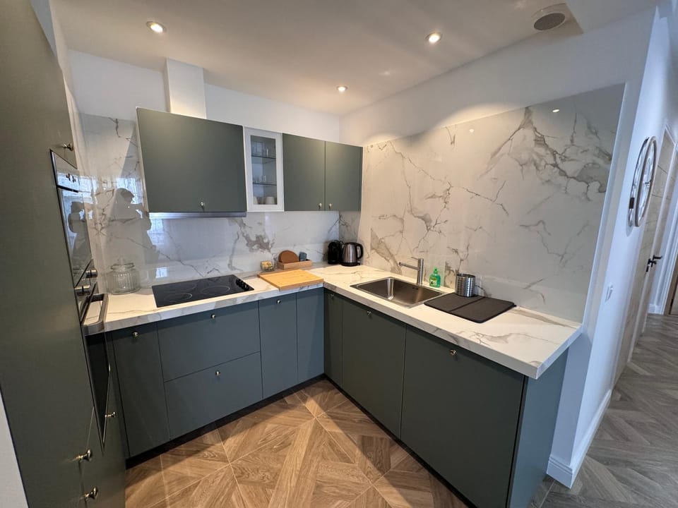 Kitchen or kitchenette, dishwasher, minibar, pet friendly, stove