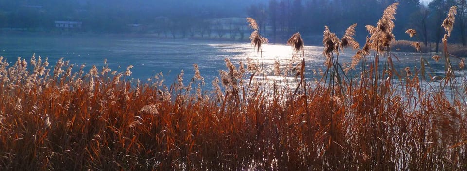 Natural landscape, Winter, Photo of the whole room, Sports