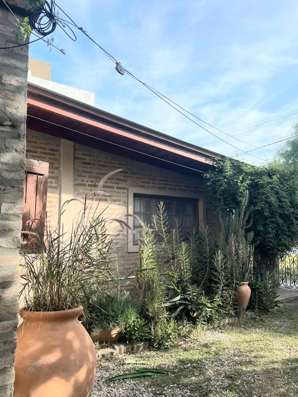 Garden view