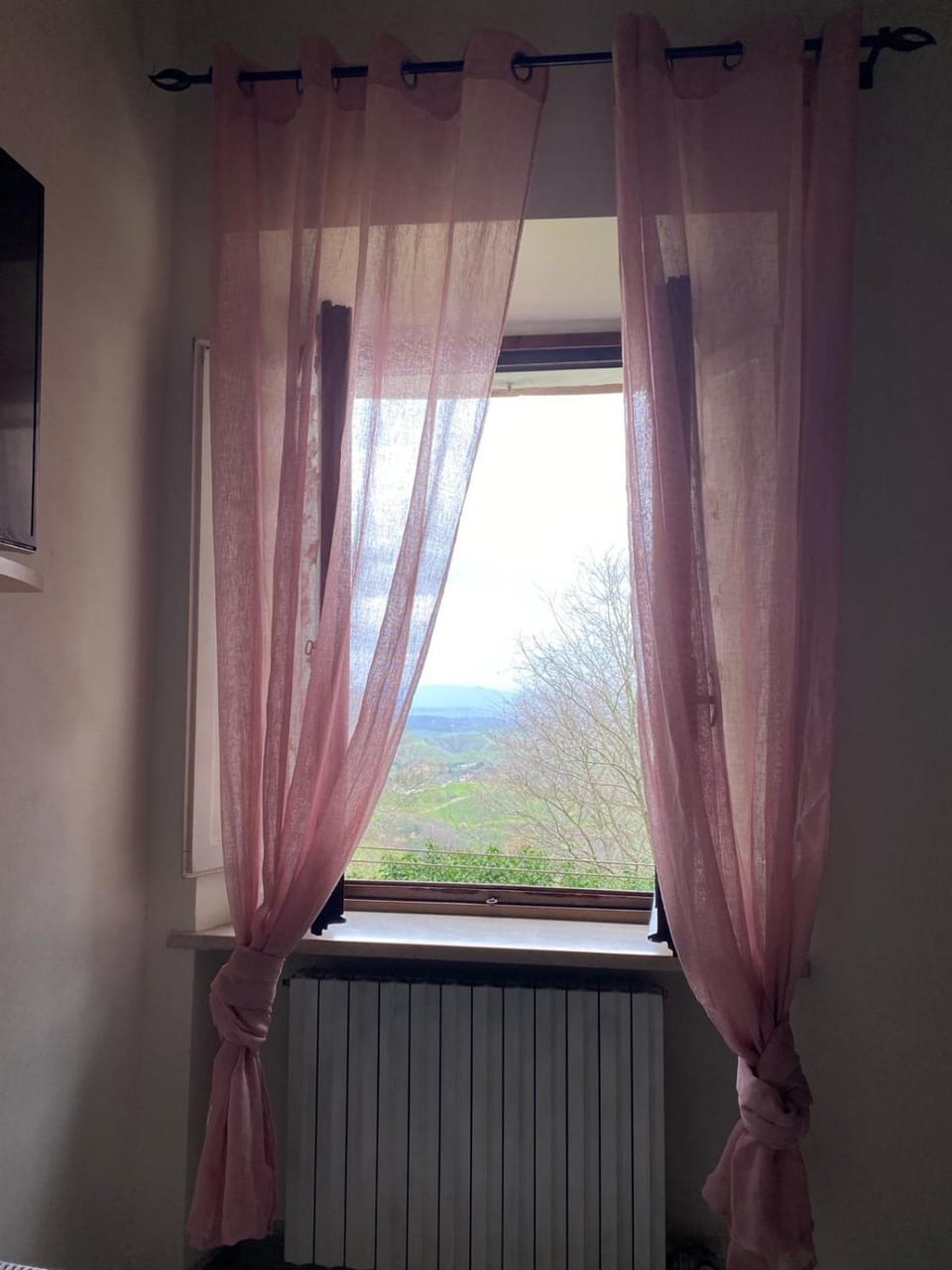 View (from property/room)
