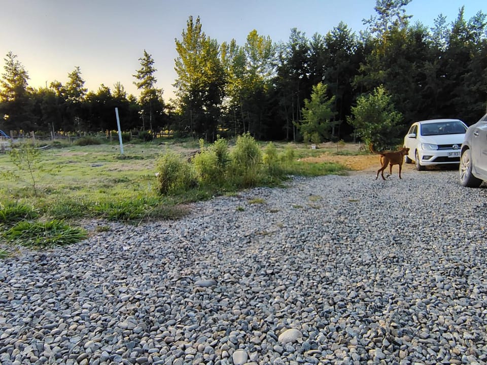 Natural landscape, Animals, Parking