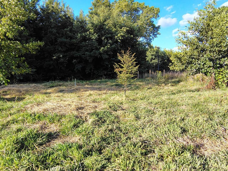 Natural landscape, Garden