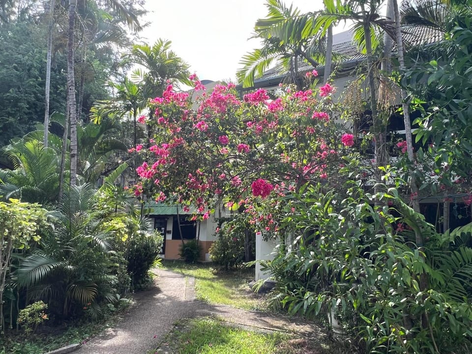 Natural landscape, Garden, Garden view