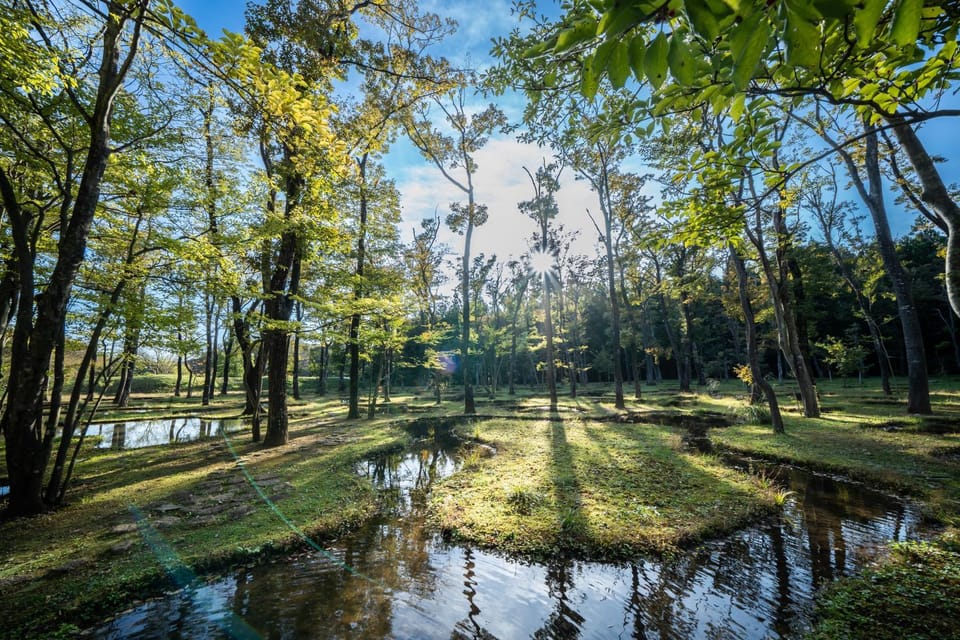 Natural landscape