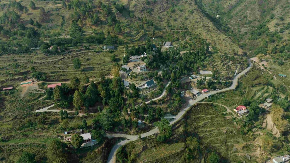 Neighbourhood, Bird's eye view