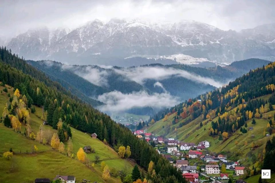 Pensiunea Hanul Dorului Bed and Breakfast in Brașov County