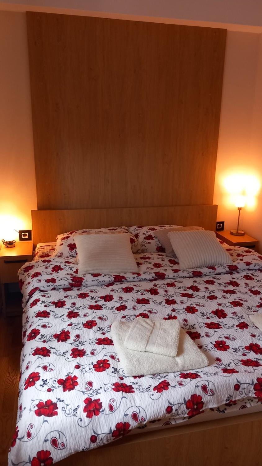 Akik Apartment in Zlatibor