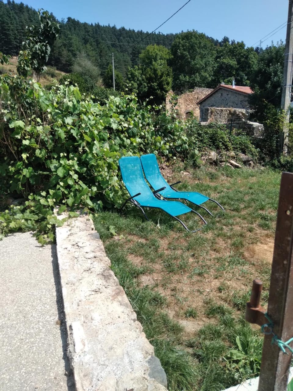 Garden, Garden view