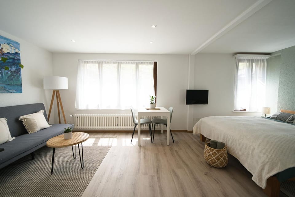 Bed, TV and multimedia, Living room, Photo of the whole room, Seating area, Bedroom