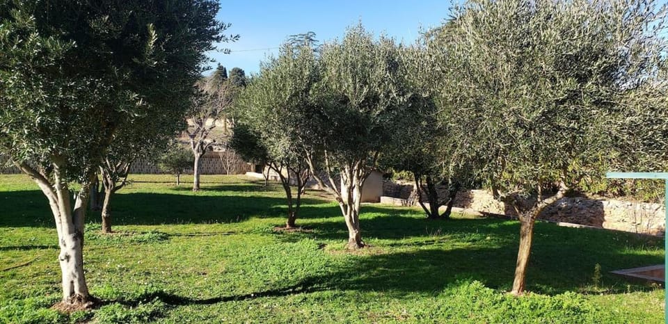 Villa Sainte Roseline -AC, Provençal Garden and BBQ House in French Riviera