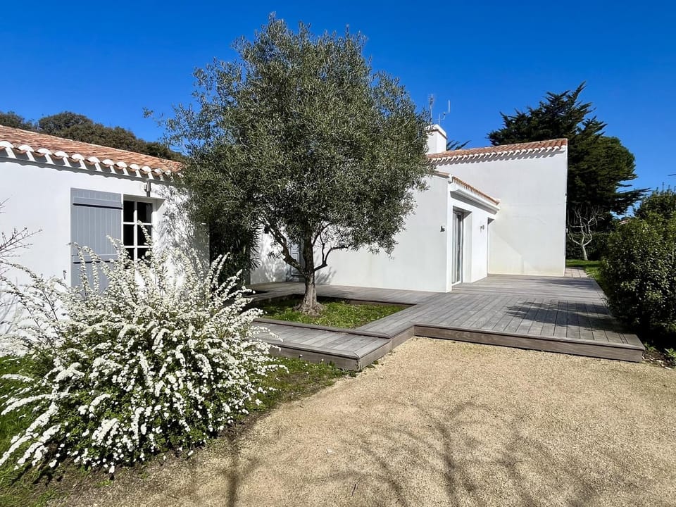 Patio, Garden, Garden view