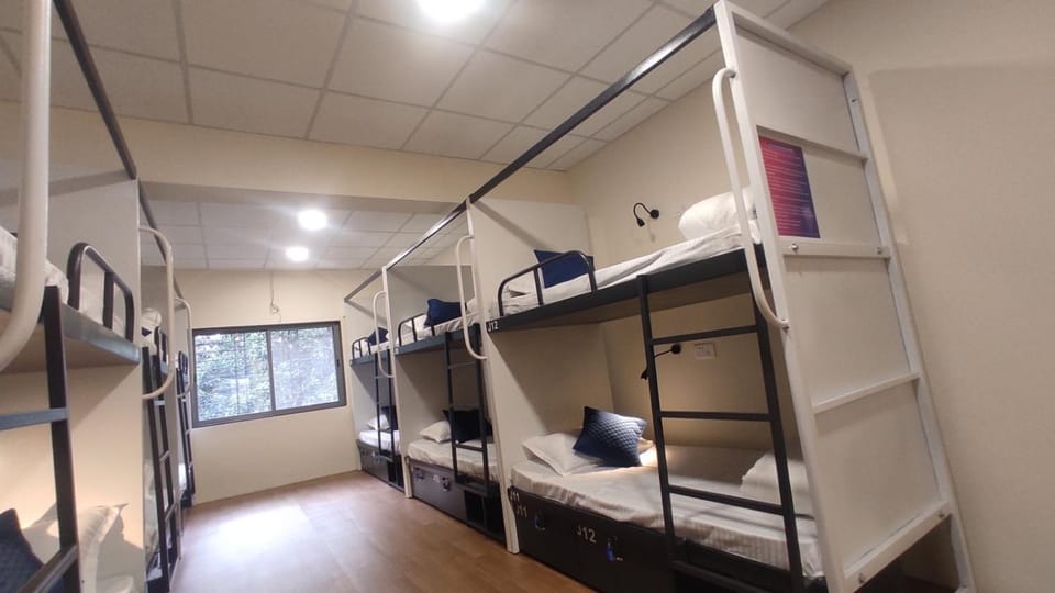 Bed, Photo of the whole room, bunk bed
