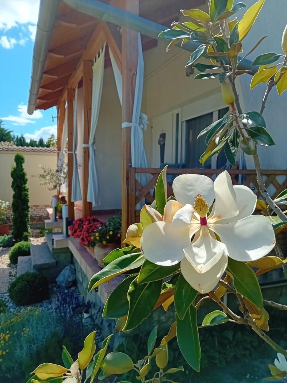 Magnólia Vendégház Apartment in Hungary