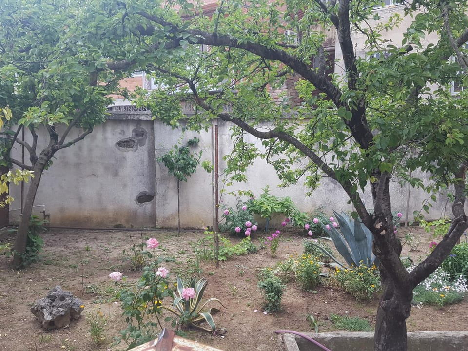 Spring, Garden