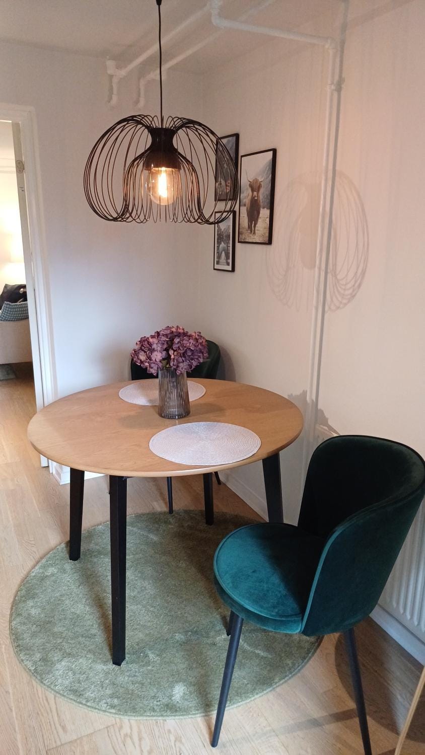 Elegant Apartment in Central Aalborg Apartment in Aalborg