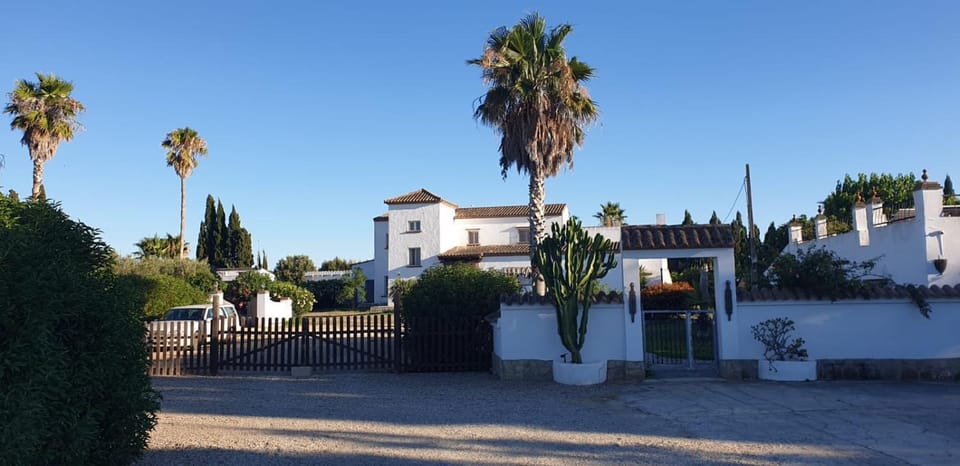 Property building, Day