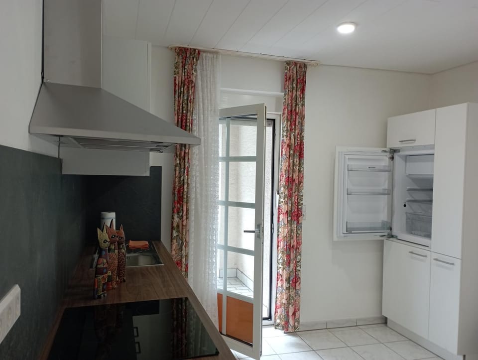 Kitchen or kitchenette, kitchen, kitchen