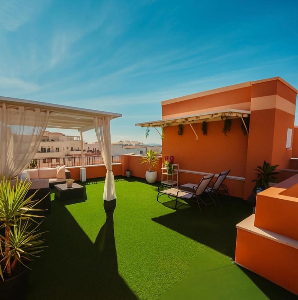 Garden, Garden view, sunbed