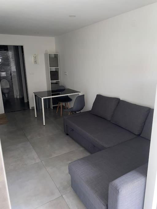 Studio moderne entièrement rénové. Apartment in Grand Est