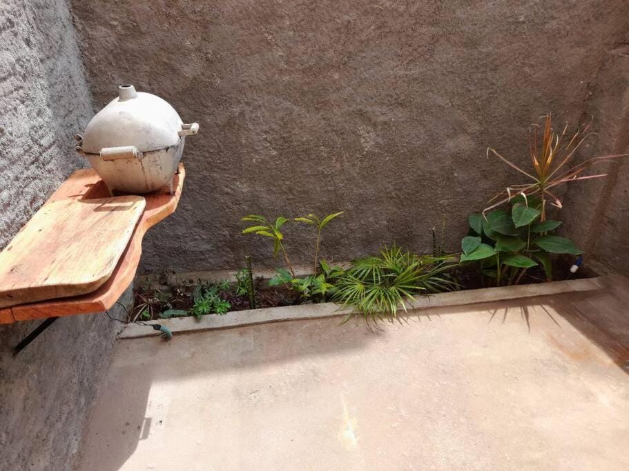 Day, BBQ facilities, Garden, Garden view