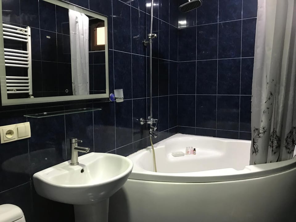 Elena's room Vacation rental in Batumi