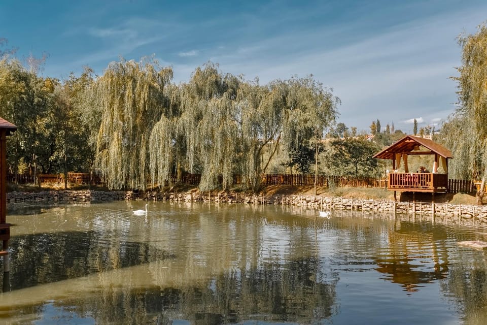 Lake view