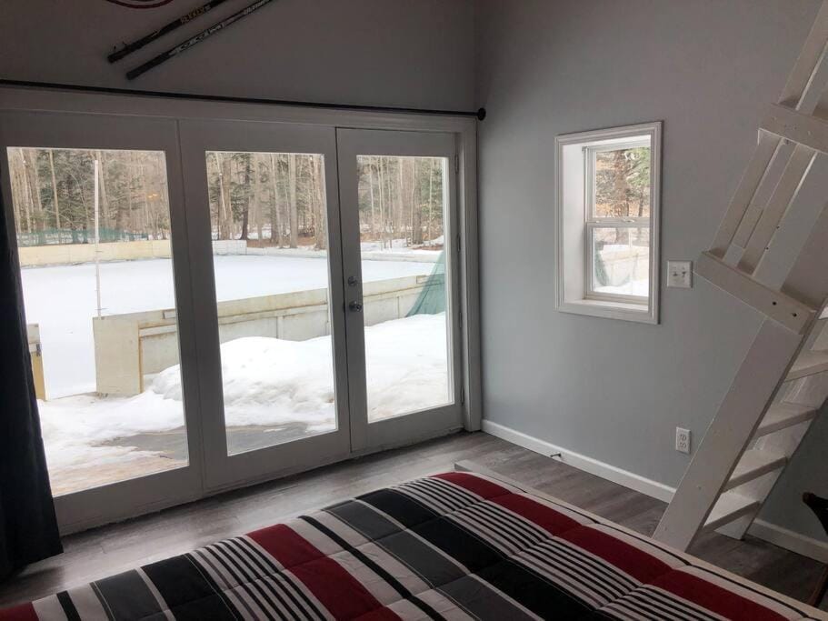 Hockey Themed Room with Wooded Trails Apartment in Michigan