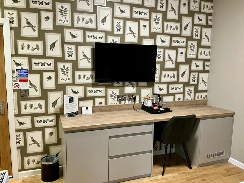 TV and multimedia
