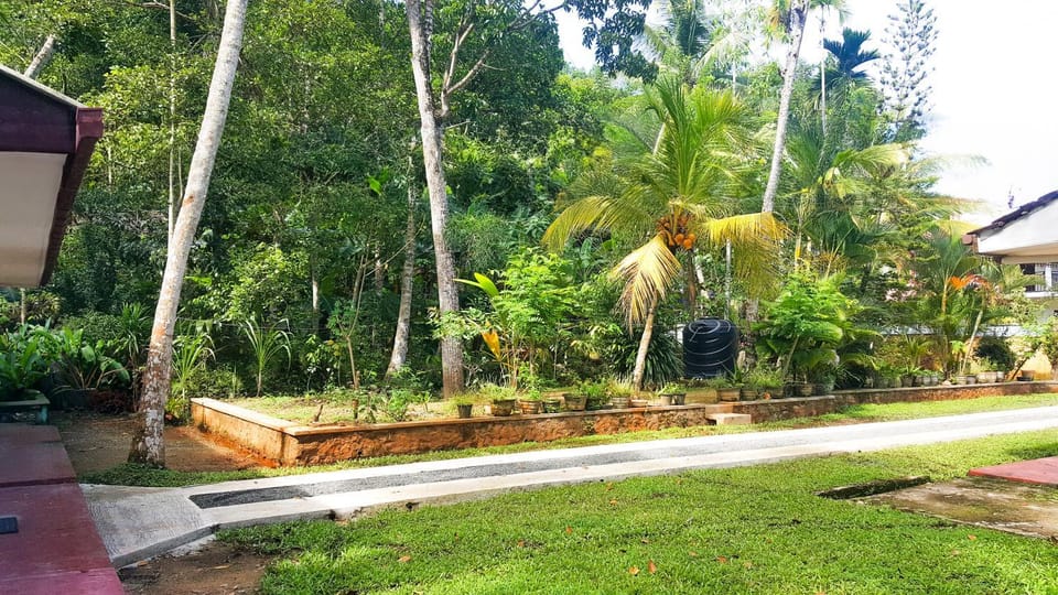 Natural landscape, Garden view